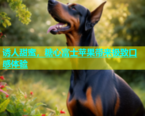 诱人甜蜜，糖心富士苹果带来极致口感体验