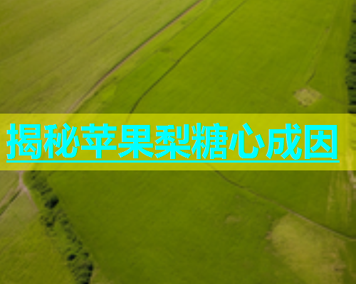 揭秘苹果梨糖心成因  第1张