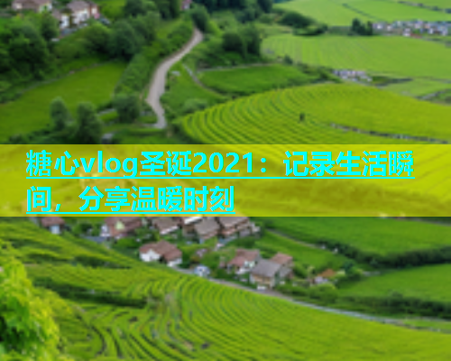 糖心vlog圣诞2021：记录生活瞬间，分享温暖时刻