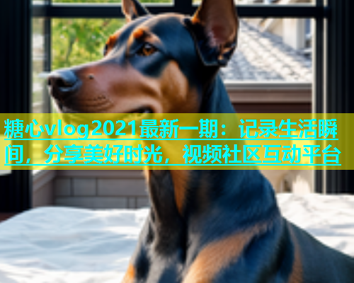 糖心vlog2021最新一期：记录生活瞬间，分享美好时光，视频社区互动平台  第1张