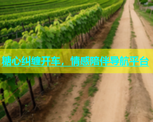 糖心纠缠开车，情感陪伴导航平台