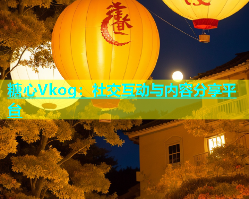 糖心Vkog：社交互动与内容分享平台  第2张