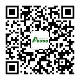 177501329735312 177501329735312